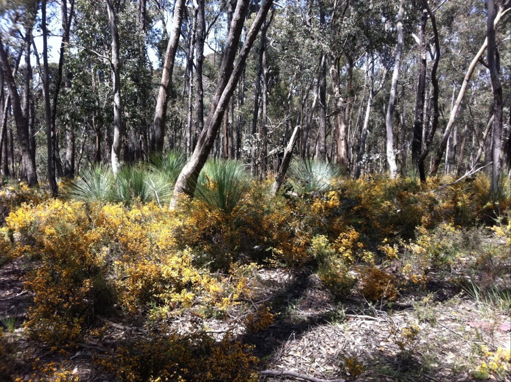 Lerderderg State Park | Lerderderg Gorge Rd, Bacchus Marsh VIC 3340, Australia | Phone: 13 19 63