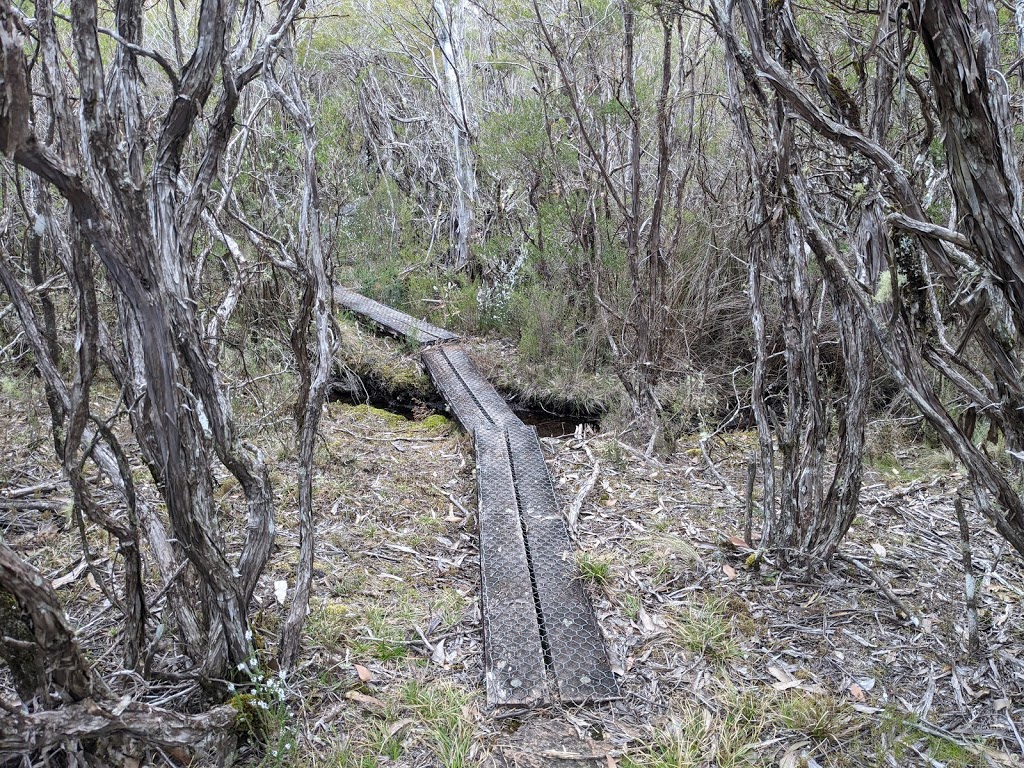 Lyrebird Walking track | park | Brinerville NSW 2454, Australia