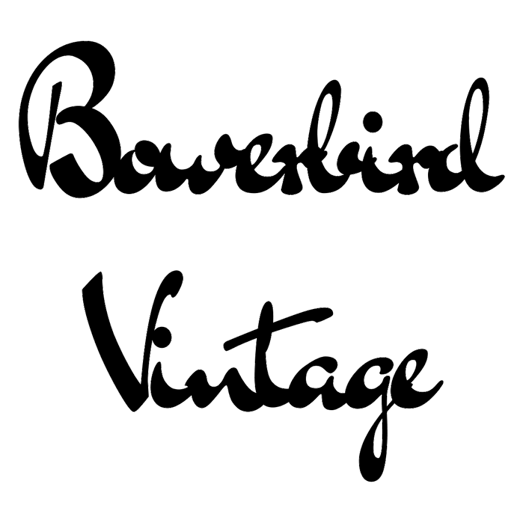 Bowerbird Vintage - hand sourced vintage fashions | clothing store | 245 Princes Hwy, Kogarah NSW 2218, Australia | 0425335295 OR +61 425 335 295