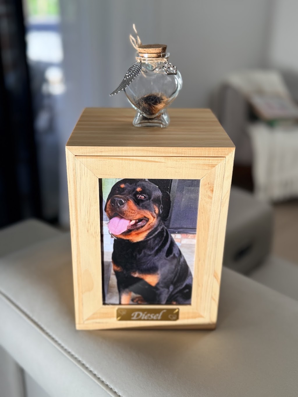 Remember Me Pet Cremations | 5/38 Alta Rd, Caboolture QLD 4510, Australia | Phone: 1300 767 387