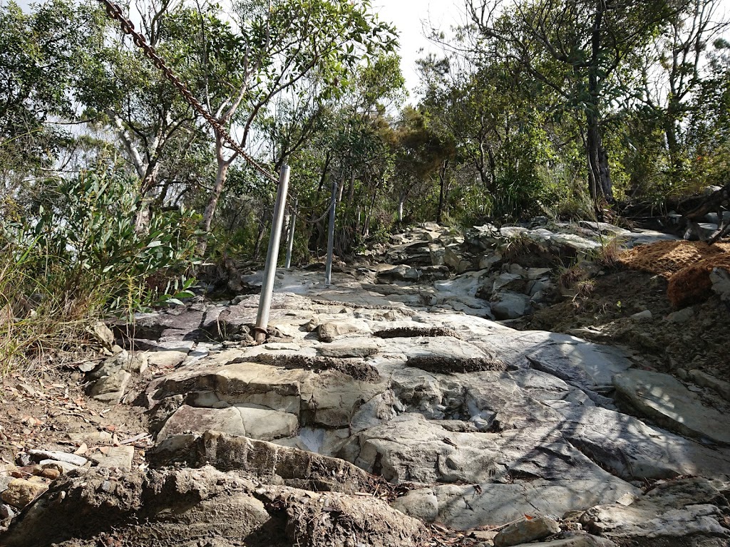 Mt Cooroora | park | Mt Cooroora Hiking Trail, Pomona QLD 4568, Australia