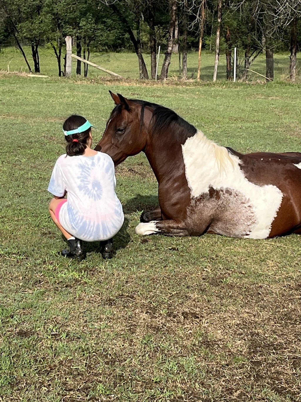 Hooves For Hope | 74 Mcmahons Rd, Kurrajong NSW 2758, Australia | Phone: 0447 772 717 Hooves For Hope | 74 Mcmahons Rd, Kurrajong NSW 2758, Australia | Phone: 0447 772 717