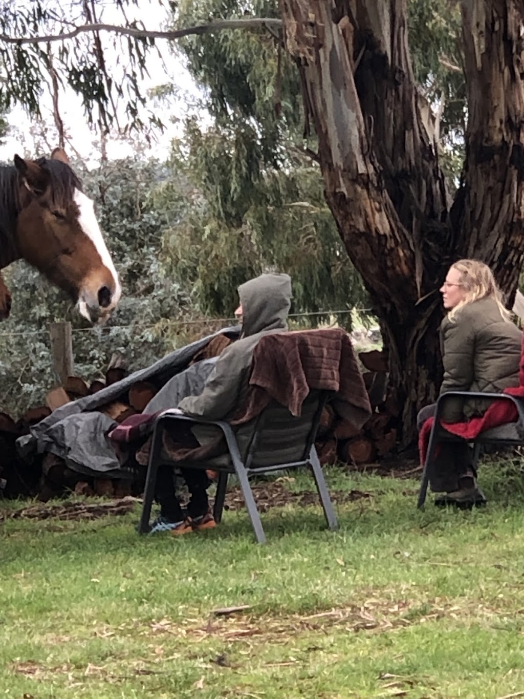 Heart of the Horse- Working with Horses helping people to heal | 275 Zig Zag Rd, Drummond North VIC 3446, Australia | Phone: 0415 288 438