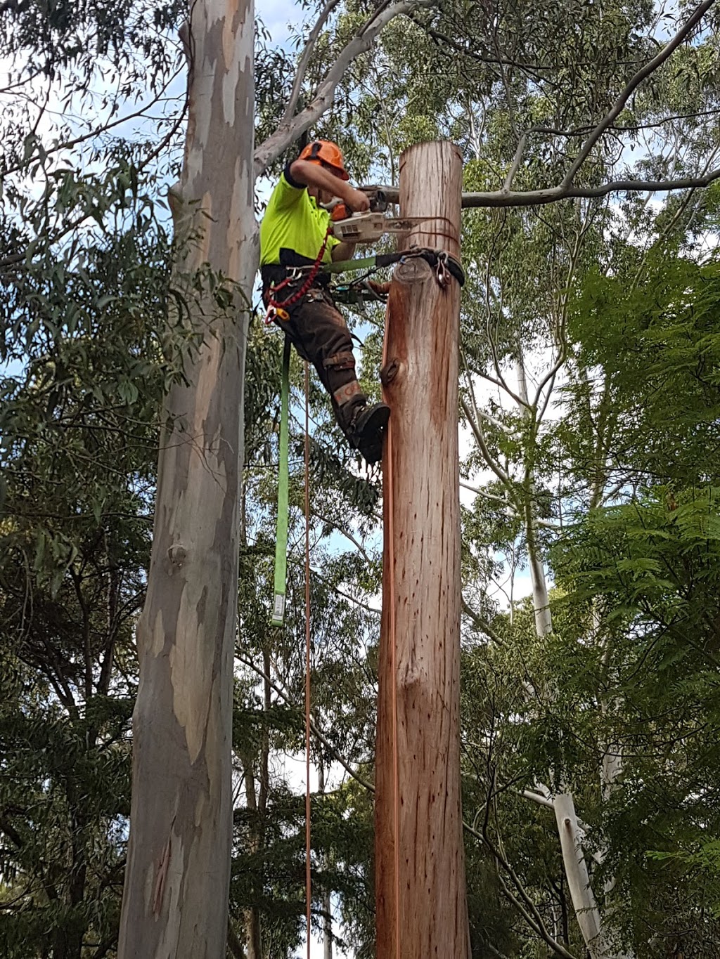 Climb High Tree Services |  | 880 Federal Hwy, Watson ACT 2602, Australia | 0402089736 OR +61 402 089 736