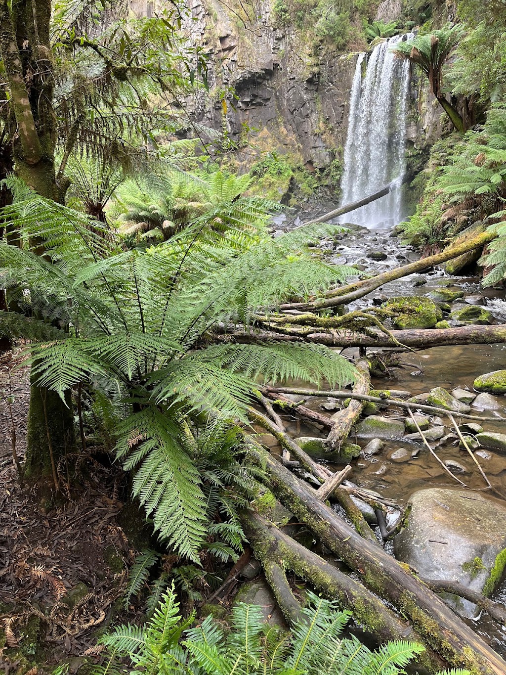 Forrest Haus Retreat | 50 Station St, Forrest VIC 3236, Australia | Phone: 0435 947 984