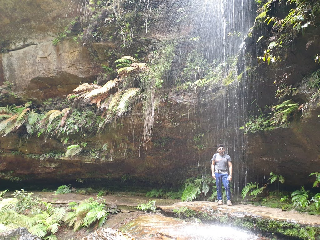 Grand Canyon Walking Track | Blue Mountains National Park, Evans Lookout Rd, Blackheath NSW 2785, Australia | Phone: (02) 4787 8877