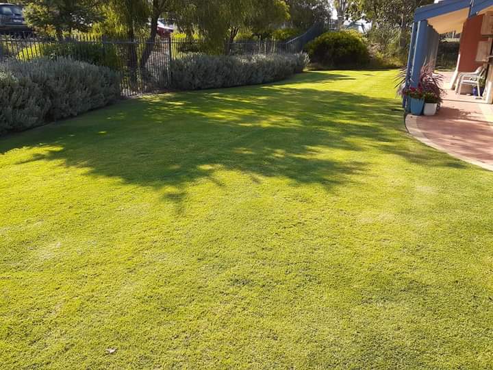 Albany Lawn Mowing |  | 15 Marine Terrace, Little Grove WA 6330, Australia | 0402189688 OR +61 402 189 688
