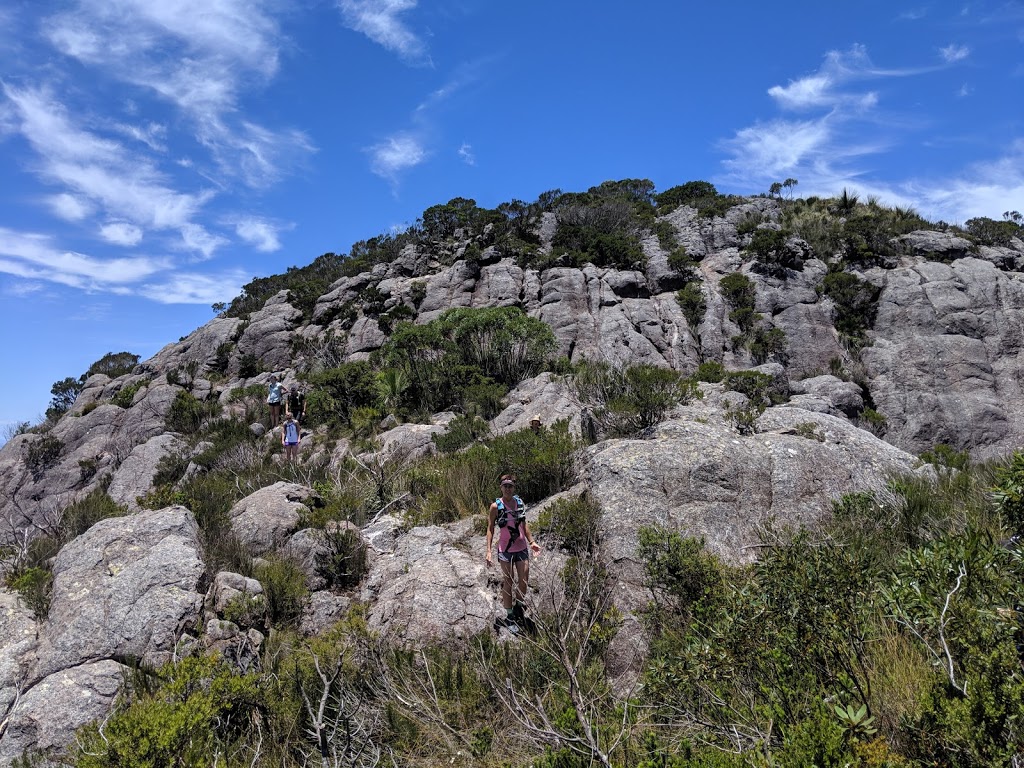 Mount Barney National Park | Burnett Creek QLD 4310, Australia | Phone: 13 74 68