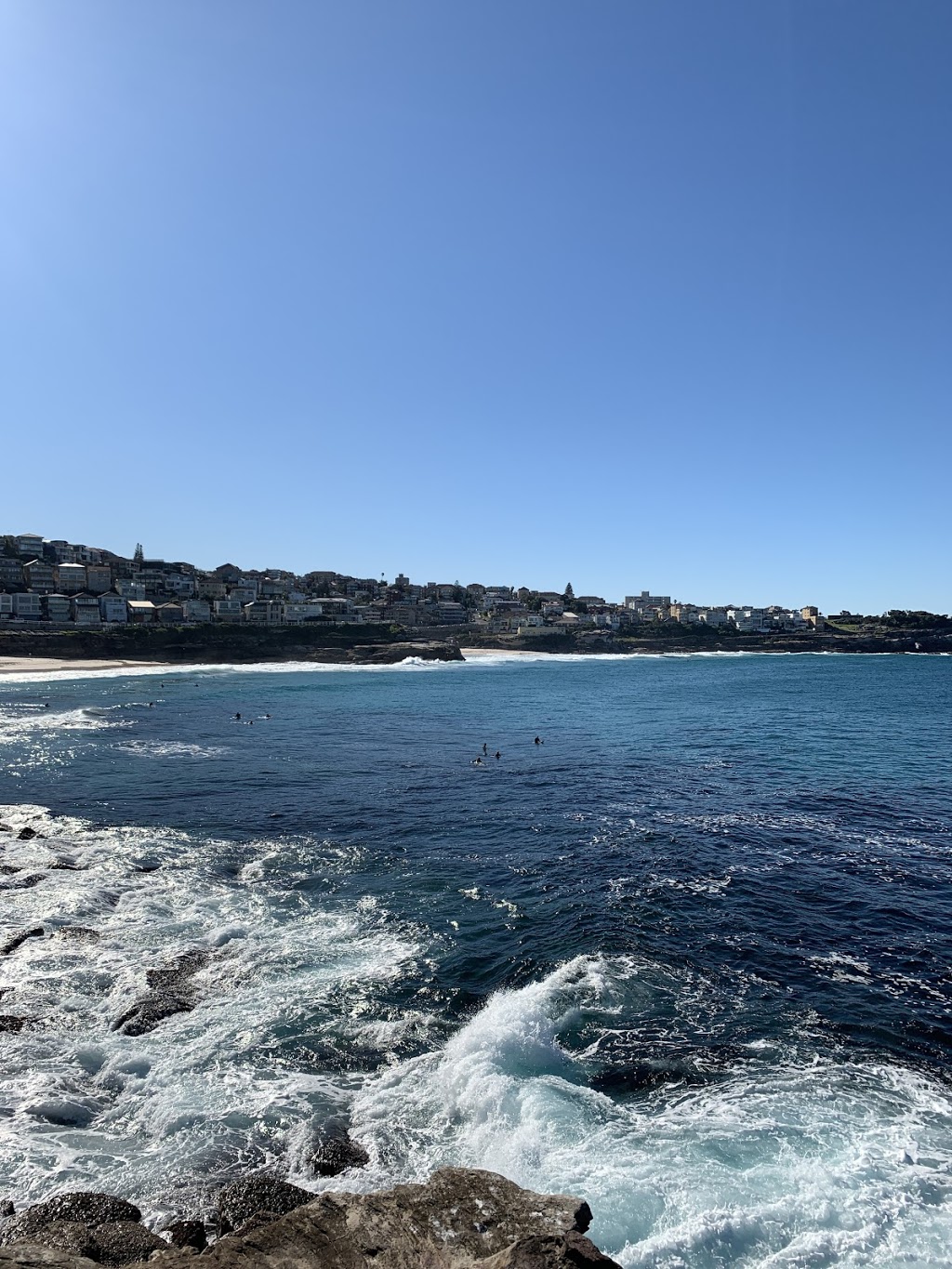 Bondi to Bronte Ocean Swim | 502 Bronte Rd, Bronte NSW 2024, Australia | Phone: (02) 9389 6500