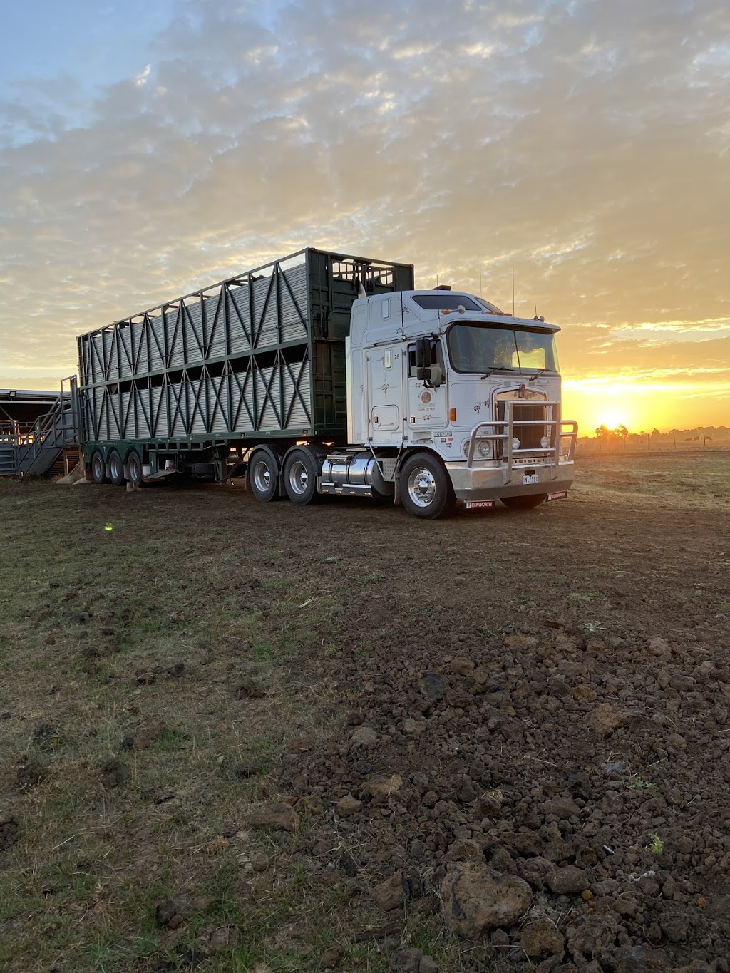Knight / Jordan Livestock | Embletons Rd, Trafalgar East VIC 3824, Australia | Phone: 0488 332 909