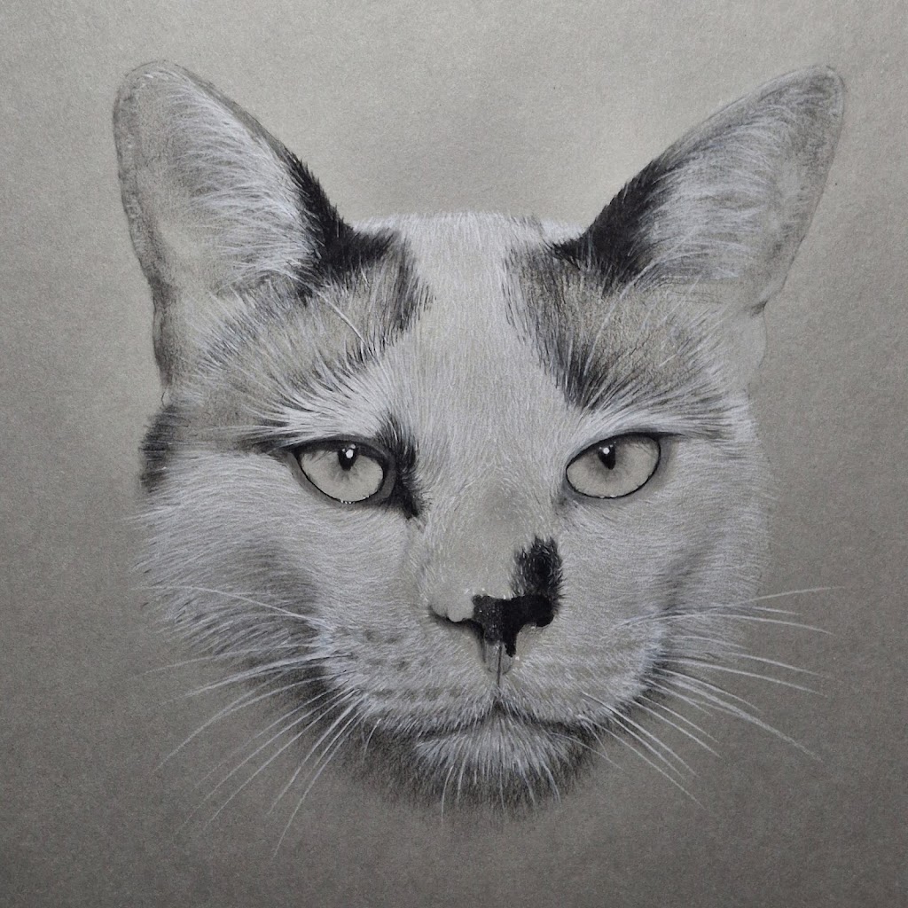 Ray Coffey Art Classes | 51 Damon Rd, Lutwyche QLD 4030, Australia | Phone: 0405 029 514