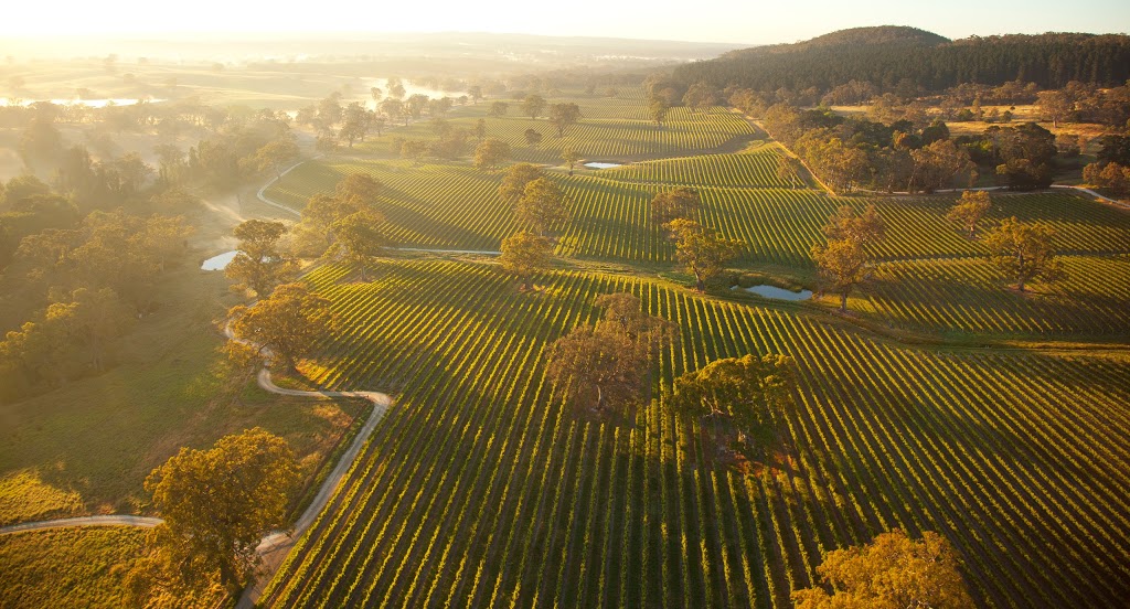 Burge Barossa - Vineyard Services | 10 Lilly Farm Rd, Tanunda SA 5352, Australia | Phone: (08) 8563 7500