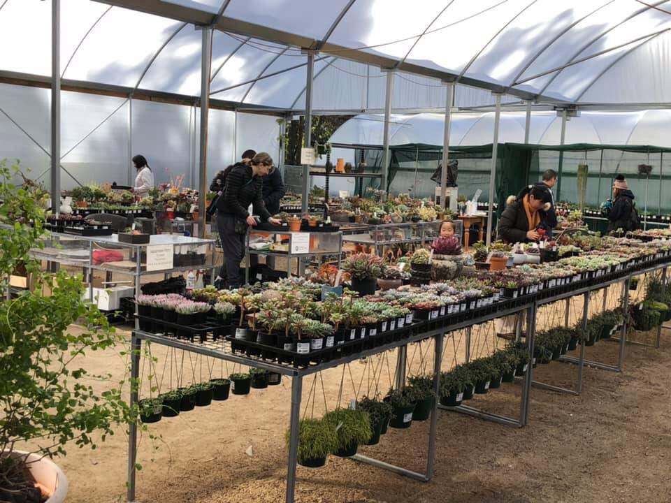 Succulents Australia (429 Monbulk Rd) Opening Hours