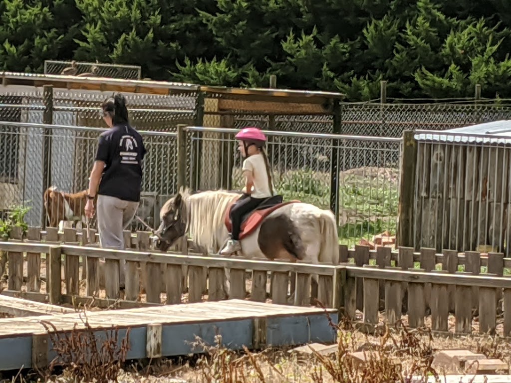 Rain Hayne & Shine Farmyard | tourist attraction | 490 Stumpy Gully Rd, Balnarring VIC 3926, Australia | 0359831691 OR +61 3 5983 1691