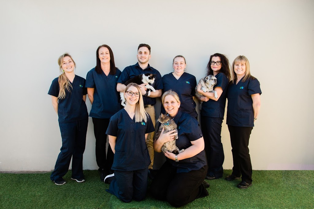 Bexley Veterinary Hospital | 568 Forest Rd, Bexley NSW 2207, Australia | Phone: (02) 9150 8387