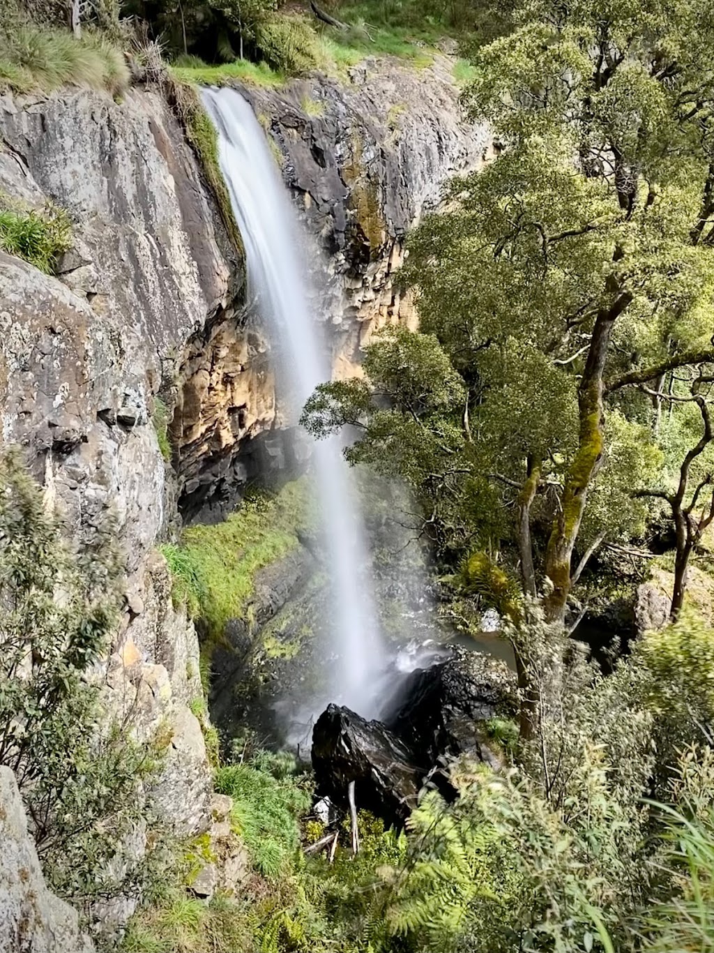 Preston Falls | tourist attraction | Raymond Rd, Preston TAS 7315, Australia | 0364298900 OR +61 3 6429 8900