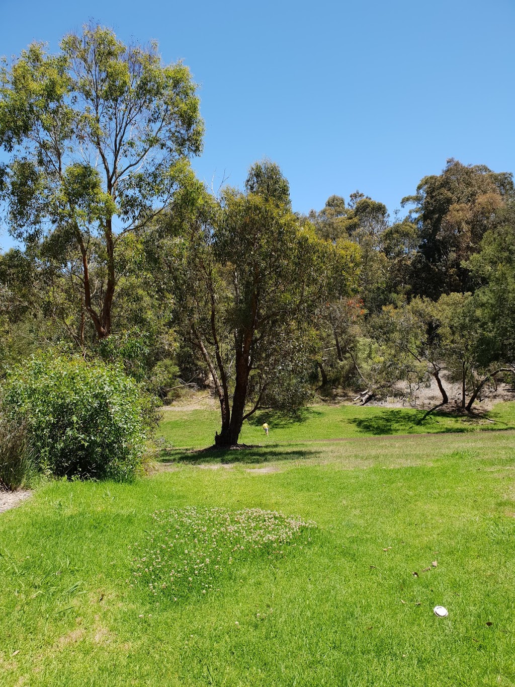 Bellbird Dell Reserve | Vermont South VIC 3133, Australia | Phone: (03) 9262 6333