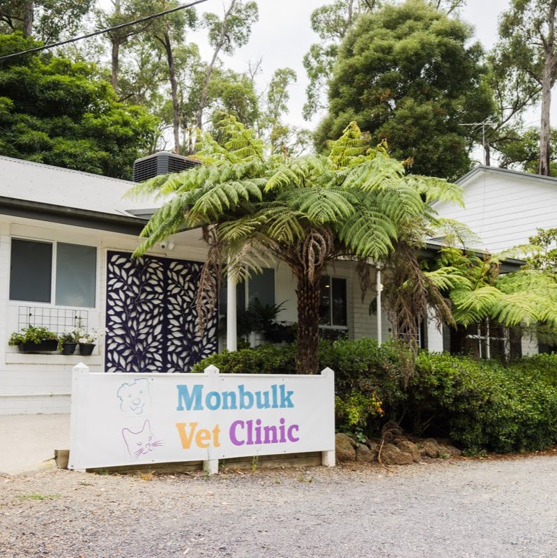 Monbulk Veterinary Centre | veterinary care | 2 Nugent St, Monbulk VIC 3793, Australia | 0397521001 OR +61 3 9752 1001