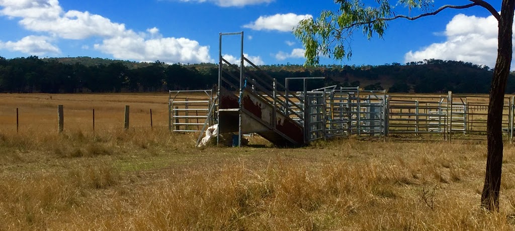 Peadon Rural | 10 Industrial Rd, Crows Nest QLD 4355, Australia | Phone: (07) 4698 2299