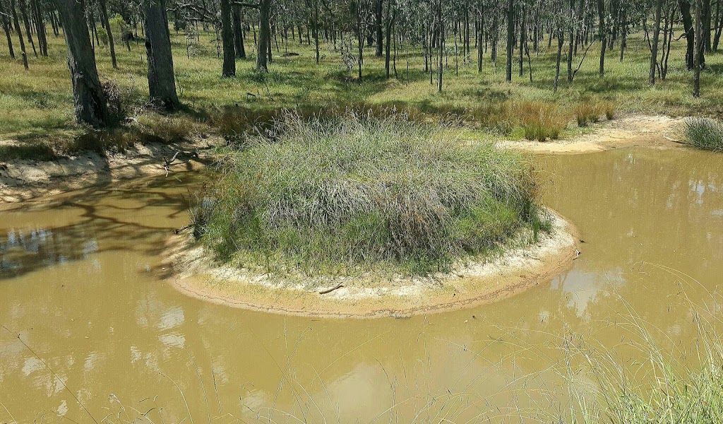 Tenterfield Park (Dog Park) | Tenterfield NSW 2372, Australia