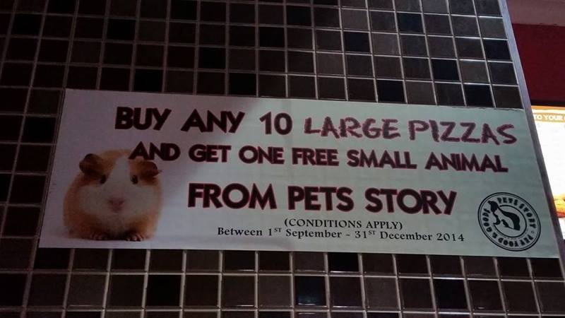 League of Pets | 327-329 Stephensons Rd, Mount Waverley VIC 3149, Australia | Phone: (03) 9807 3149