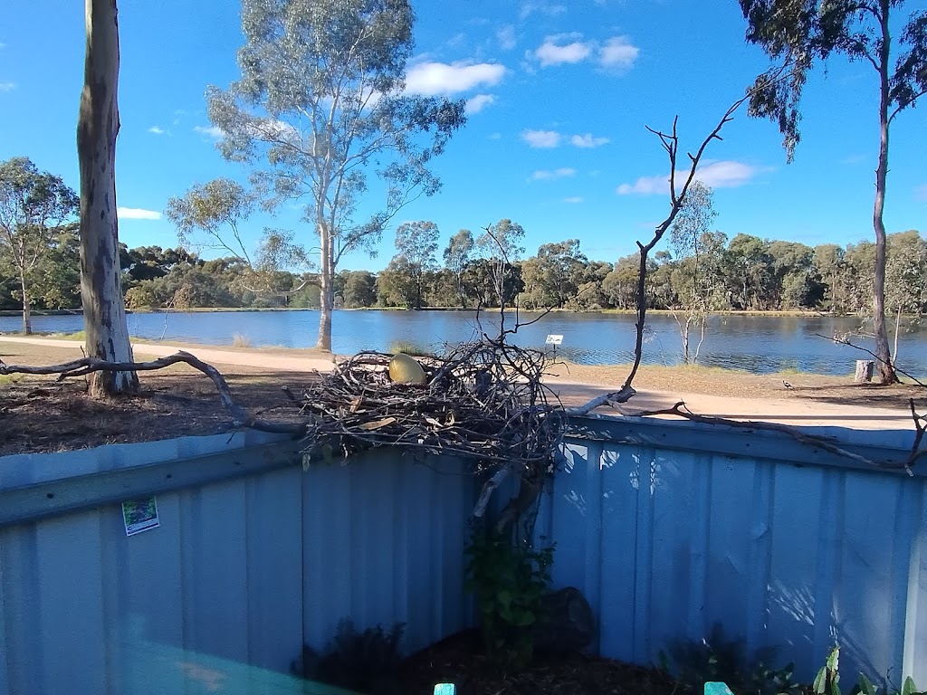 Tom Thumb Studio | 66A Simpsons Rd, Eaglehawk VIC 3556, Australia | Phone: 0403 762 645