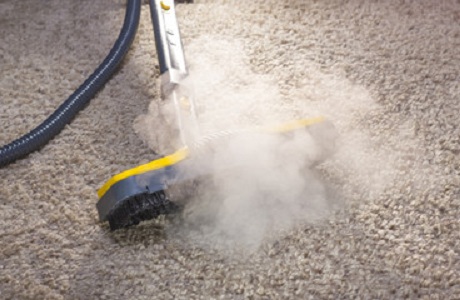 Tru Blue Carpet Cleaning & Pest Control | 14 Andrew St, Bundamba QLD 4304, Australia | Phone: 1300 850 303