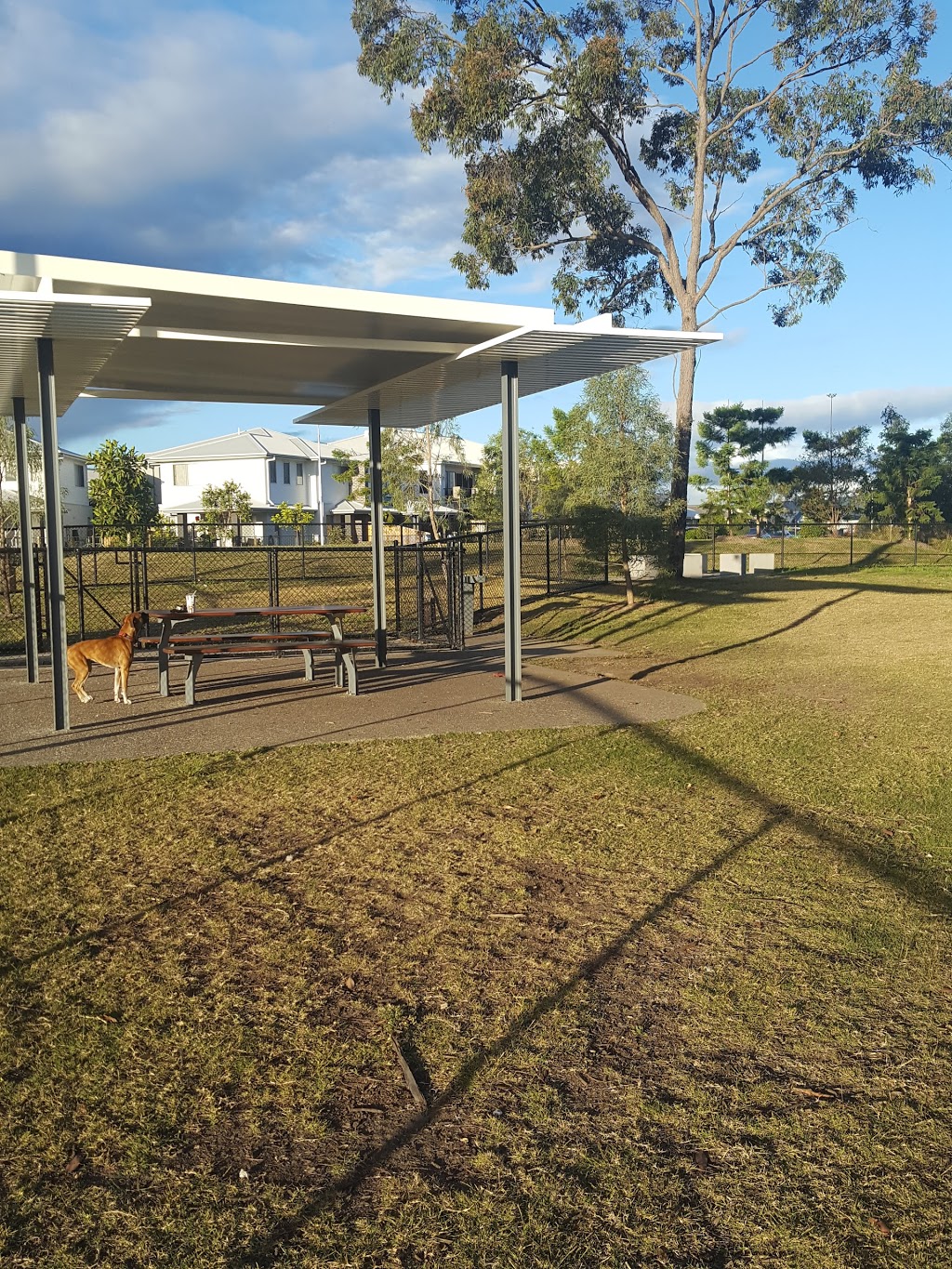 Yarrabilba Dog Park | park | Darlington Dr, Yarrabilba QLD 4207, Australia