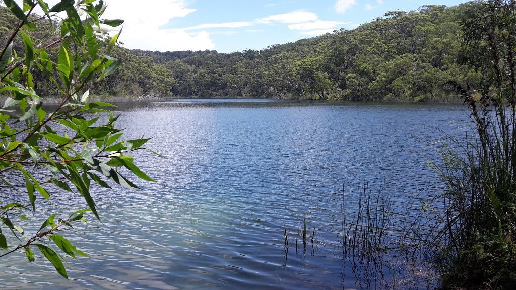 Blue Lake National Park | North Stradbroke Island QLD 4183, Australia | Phone: 13 74 68