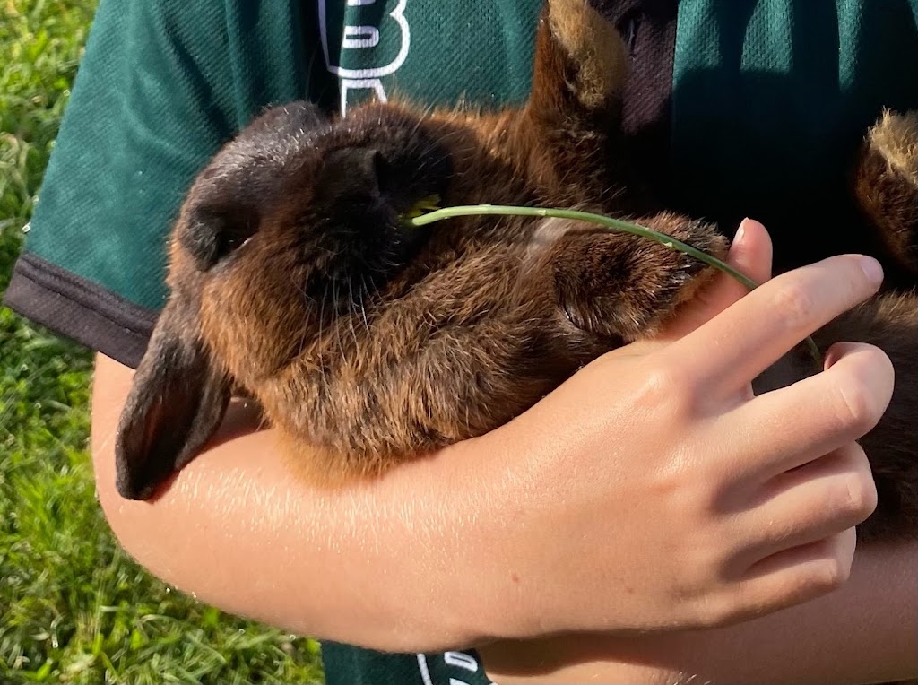 Diverse Pathways | 110 McPherson Rd, Mardi NSW 2259, Australia | Phone: 1300 348 333