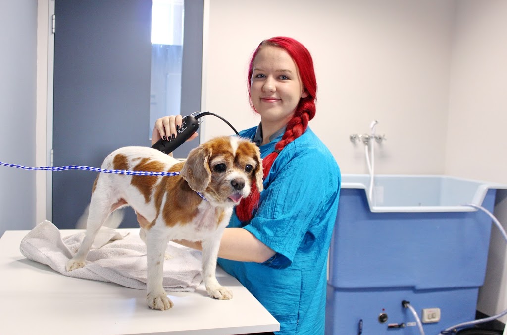 Macarthur Veterinary Group - Gregory Hills | 2/13 Rodeo Rd, Gregory Hills NSW 2557, Australia | Phone: (02) 4648 3588