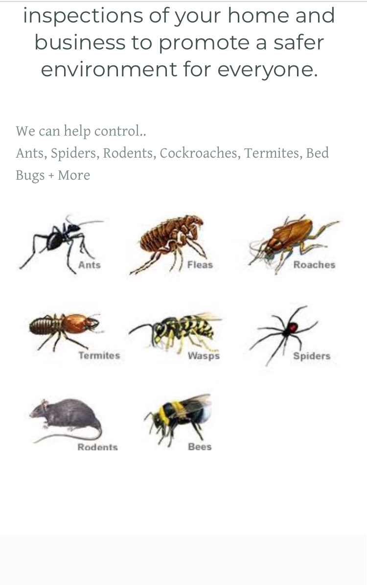 Pest control Unit | 37 Westmelton Dr, Melton West VIC 3337, Australia | Phone: 0430 124 748