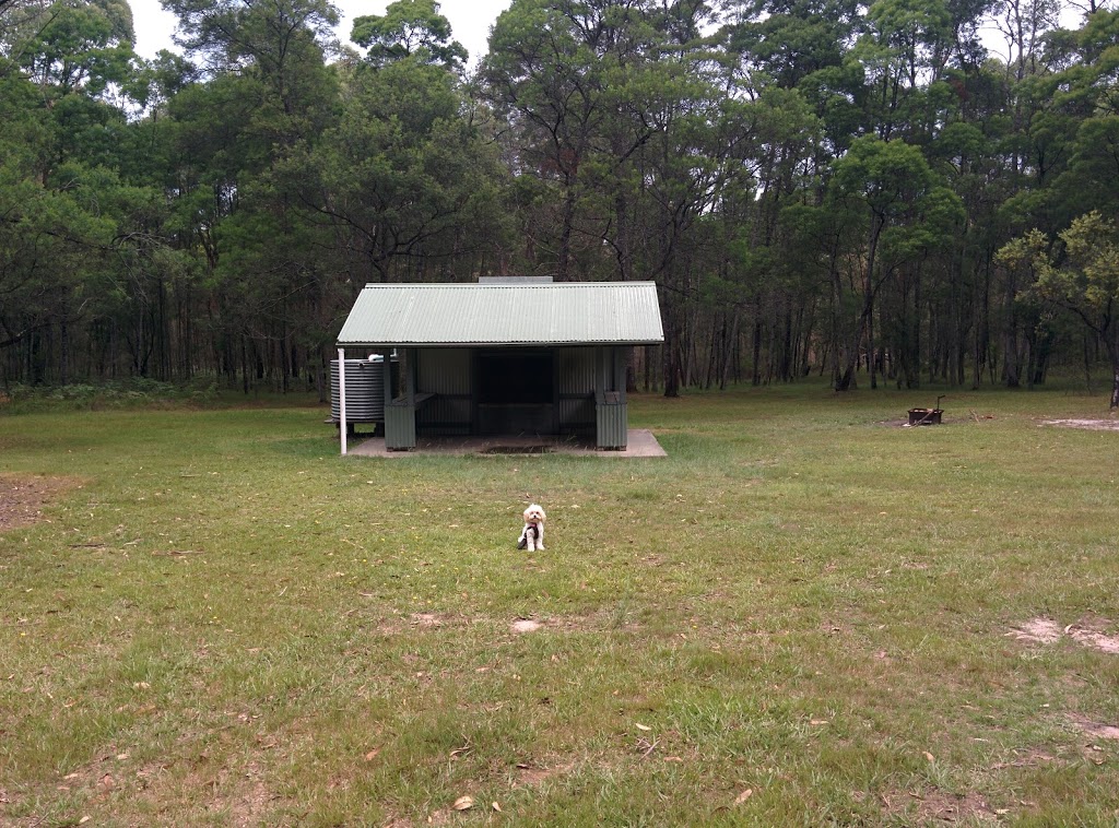 Mogo campground | campground | Mogo Loop Walking Track, Mogo Creek NSW 2775, Australia | 0265745555 OR +61 2 6574 5555