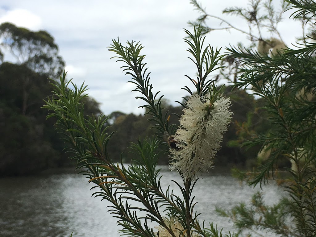 Blackburn Lake - Duck Point |  | 38 Lake Rd, Blackburn VIC 3130, Australia | 0392626000 OR +61 3 9262 6000