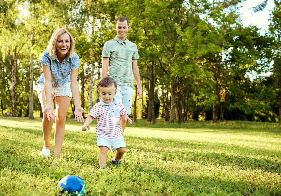 Myrtle Estate | 85 Myrtle Creek Ave, Tahmoor NSW 2573, Australia | Phone: 0449 722 323