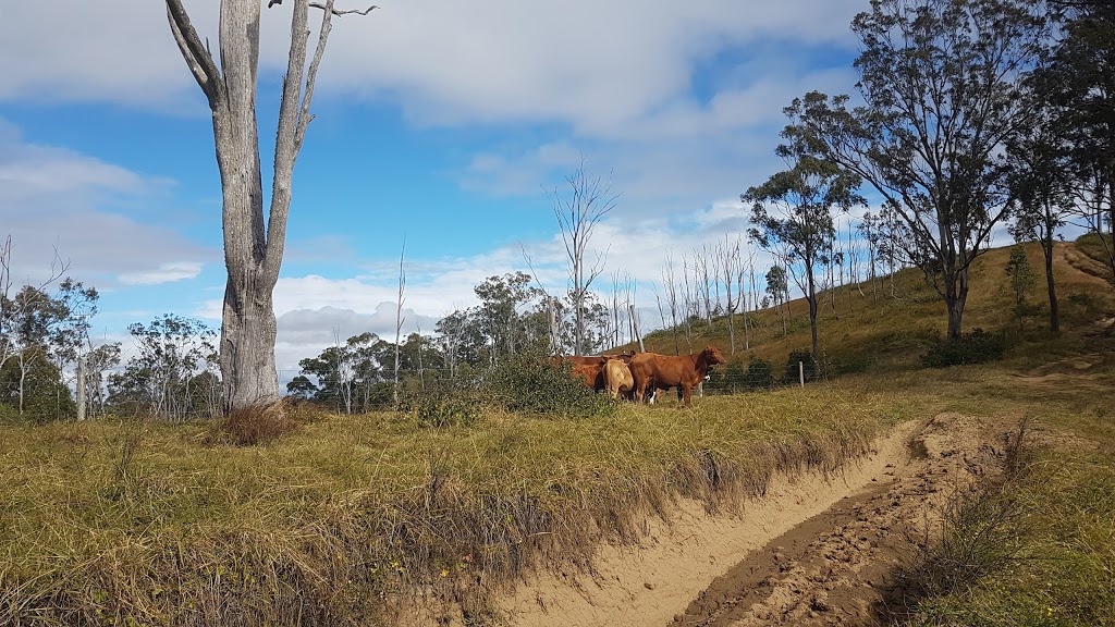 Swan Gully Park | 388 Swan Gully Rd, Bromelton QLD 4285, Australia | Phone: 0475 630 843