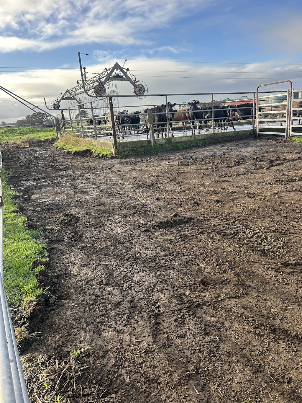 Niftys rural fencing | 8 Austin St, Hawkesdale VIC 3287, Australia | Phone: 0437 438 808