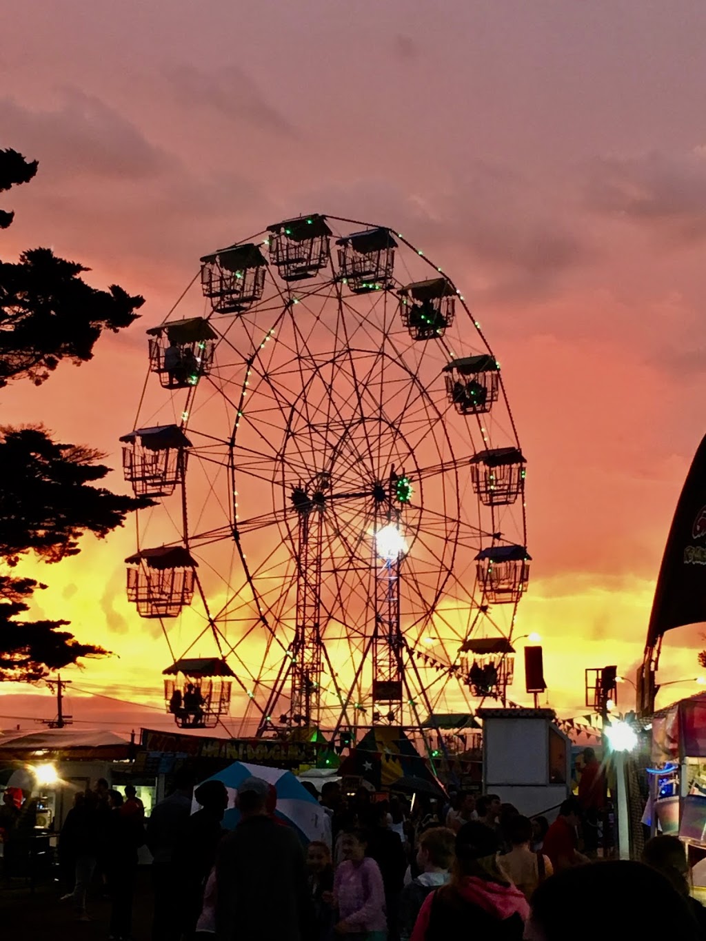 Wittingslow Carnivals Rye | amusement park | Nepean Hwy, Rye VIC 3941, Australia | 0404480866 OR +61 404 480 866