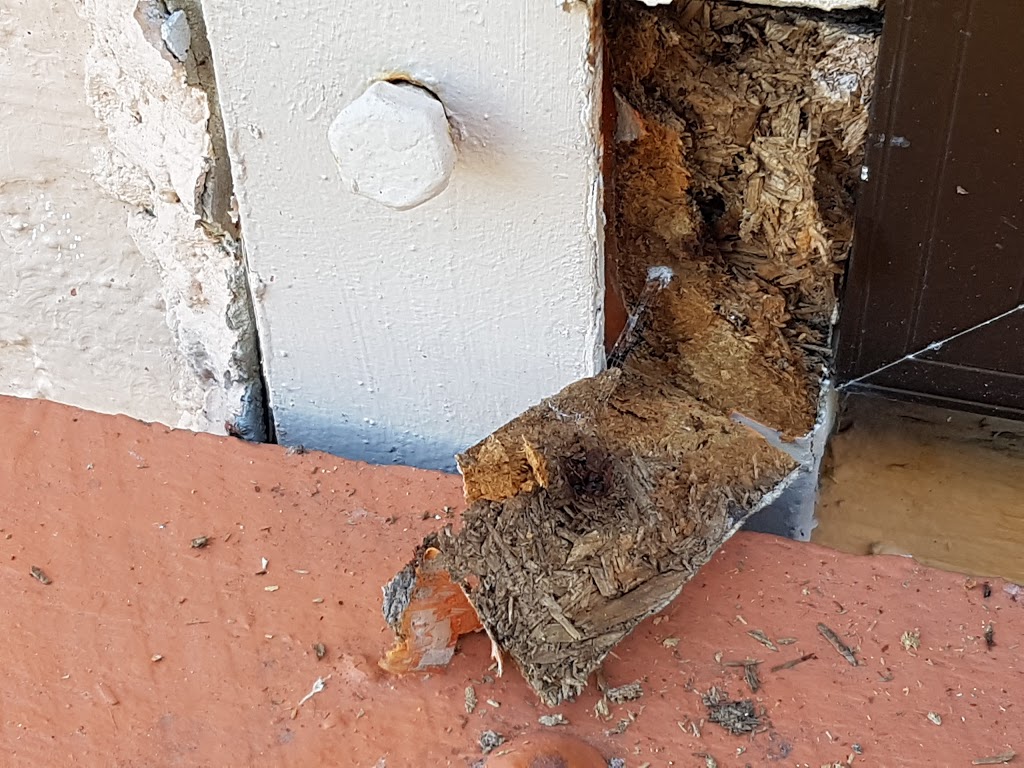 Blue Ribbon Pest Control & Termite Specialists | 146 Ross River Rd, Mundingburra QLD 4812, Australia | Phone: (07) 4779 0022