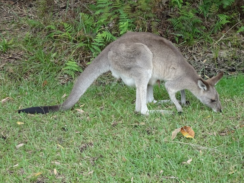 Horizons Golf Resort | Horizons Dr, Salamander Bay NSW 2317, Australia | Phone: (02) 4982 0474