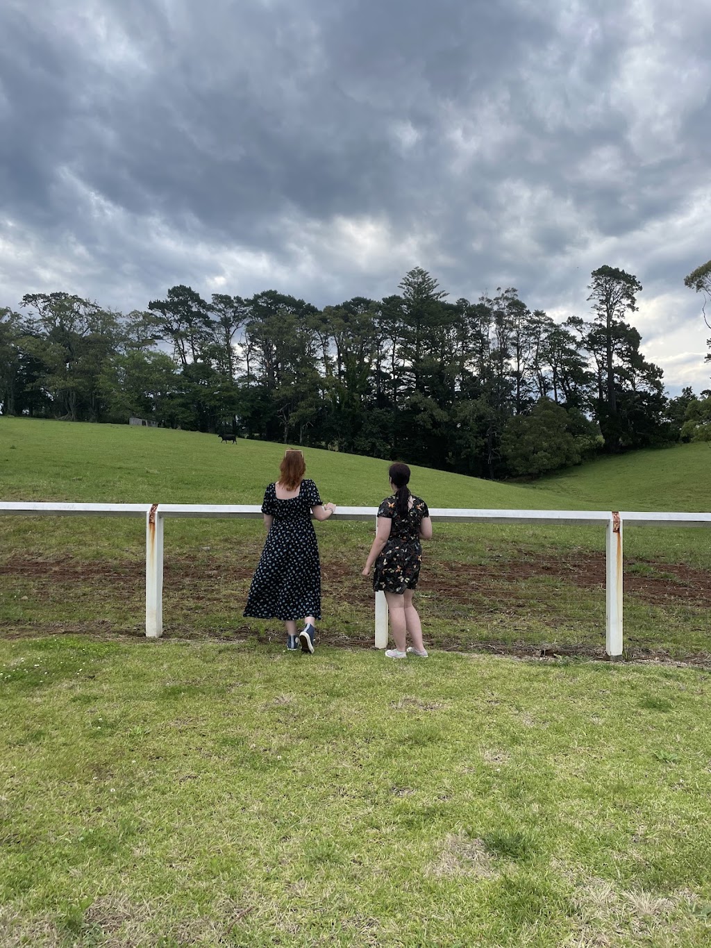 Glenworth House | 466 Kangaroo Valley Rd, Berry Mountain NSW 2535, Australia | Phone: 0401 454 127