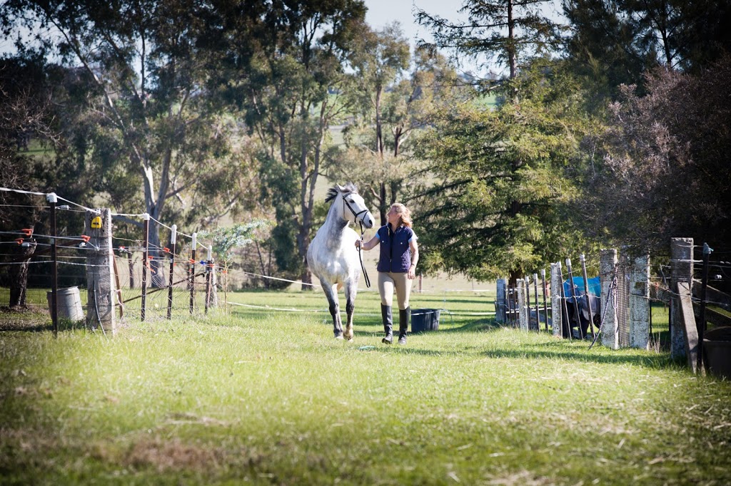 Arandth Performance Horses |  | 330 Burma Rd, Table Top NSW 2642, Australia | 0412859756 OR +61 412 859 756