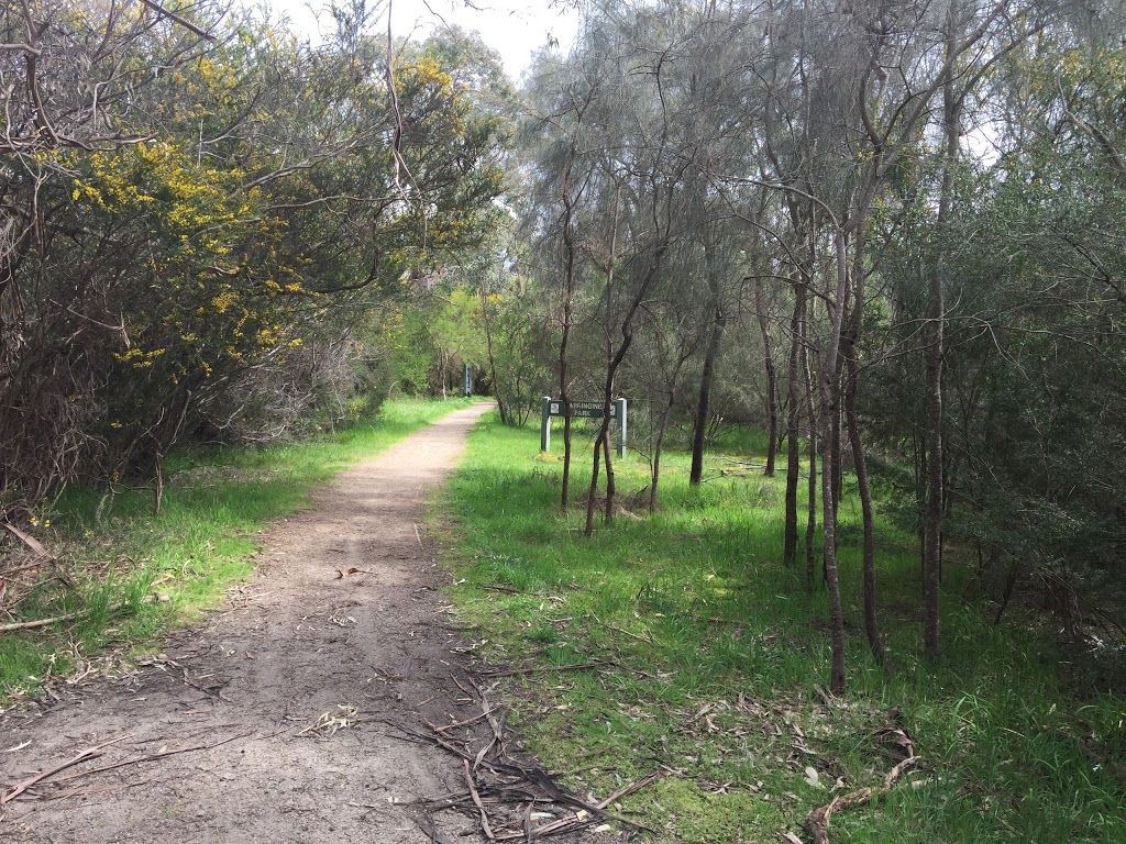 Jacks Beach Reserve | park | Bittern VIC 3918, Australia | 1300850600 OR +61 1300 850 600