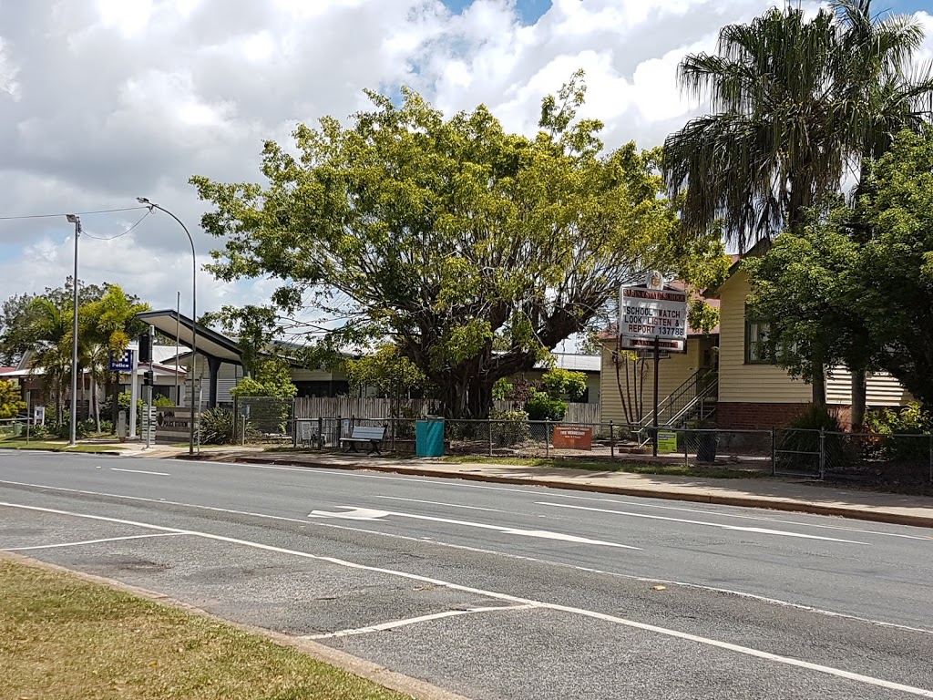 Sarina Big Cane Toad | 48/46 Bruce Hwy, Sarina QLD 4737, Australia