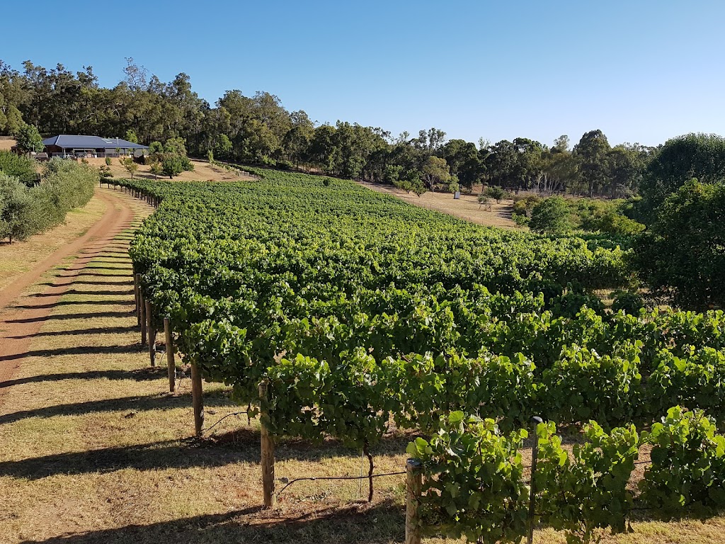 Tonon Vineyard & Winery | 44 Carmel Rd, Carmel WA 6076, Australia | Phone: 0417 928 613