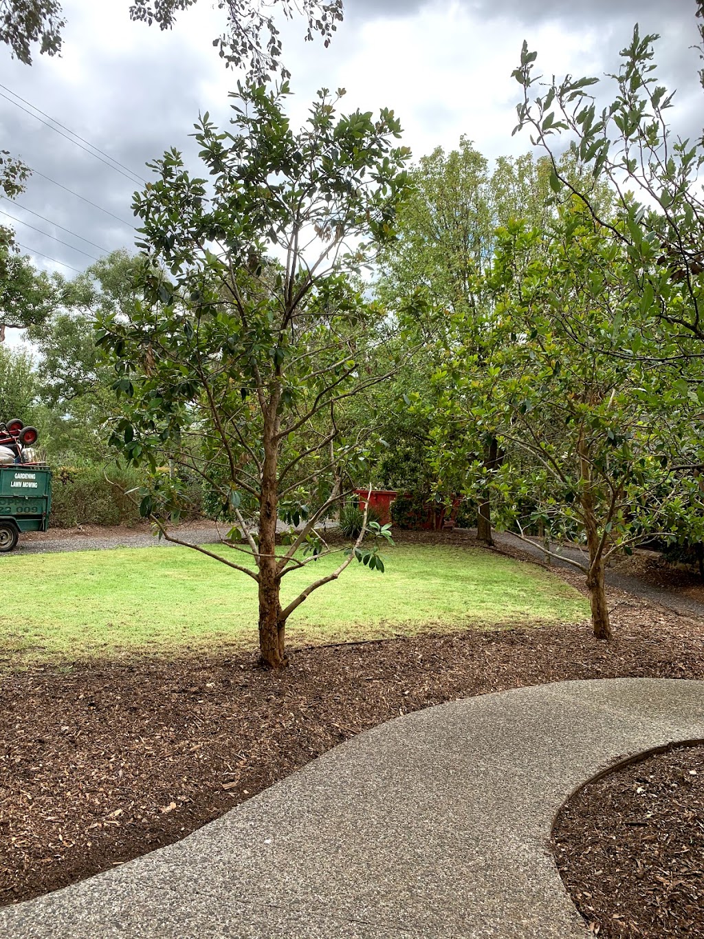 Celsius Turf And Lawn Services | 12 Landscape Dr, Boronia VIC 3155, Australia | Phone: 0401 285 911