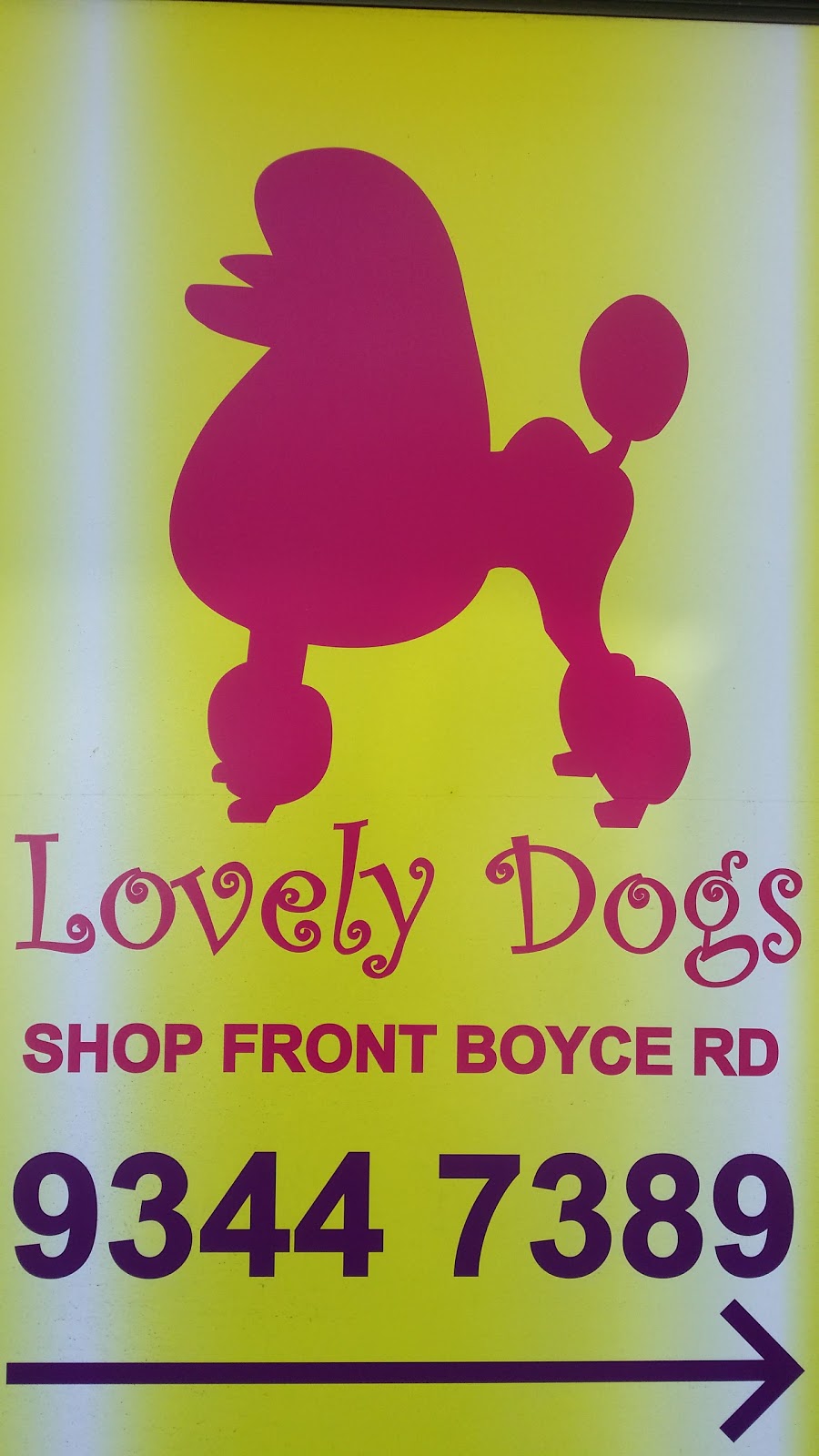 Lovely Dogs Grooming & Accessories | store | 4/830 Anzac Parade, Maroubra NSW 2035, Australia | 0432112604 OR +61 432 112 604