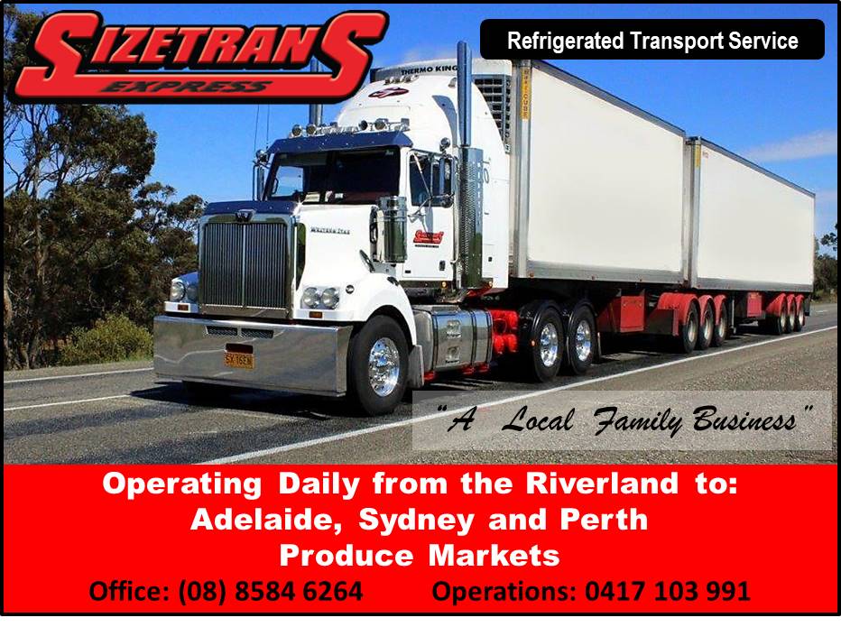 Sizetrans Express | 102 Trenerry Ave, Loxton SA 5333, Australia | Phone: (08) 8584 6264