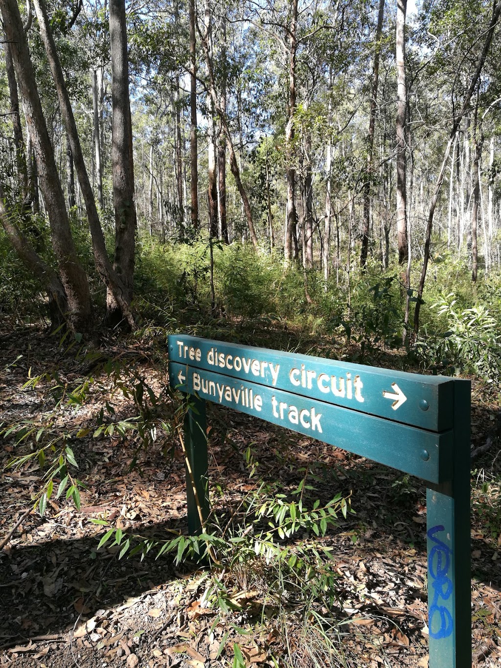 Bunyaville Picnic Area | park | Unnamed Road, Bunya QLD 4055, Australia