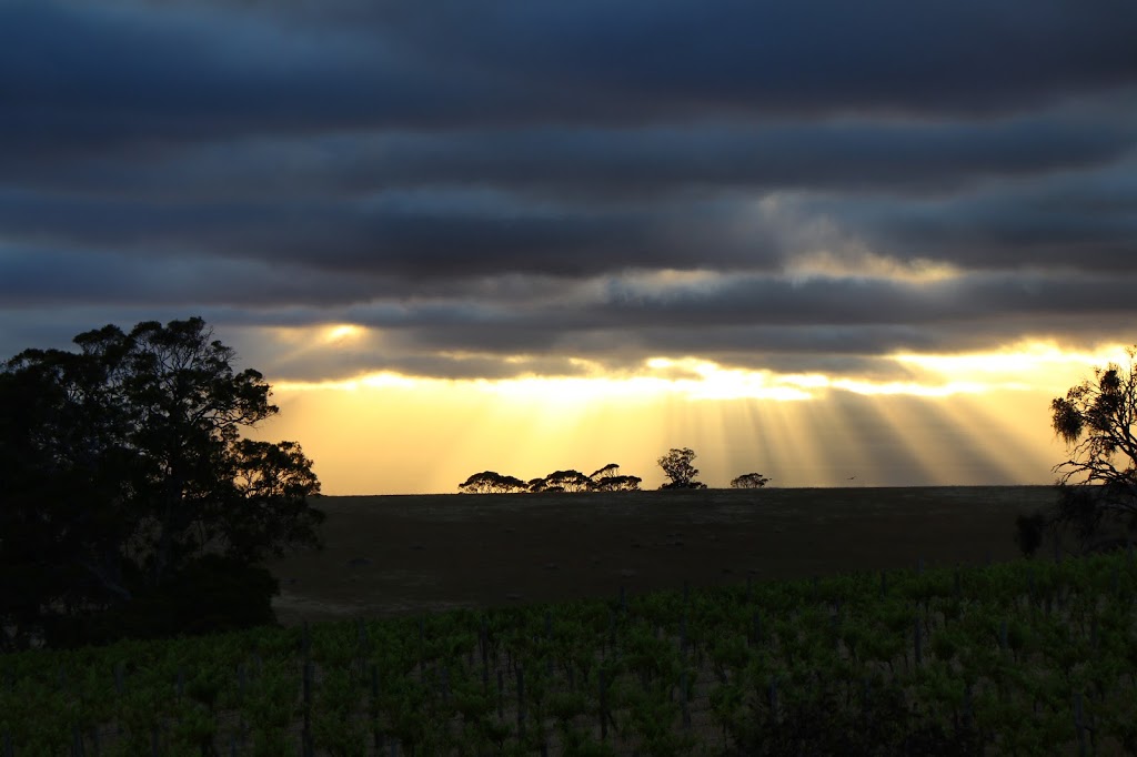 Max & Me Wines | 11 Murray St, Eden Valley SA 5235, Australia | Phone: (08) 8564 1072